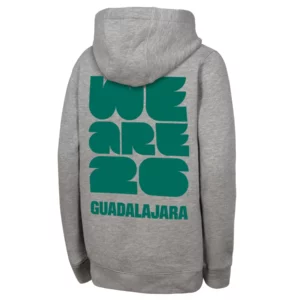 2026 World Cup Mexico City Grey Hoodie Unisex